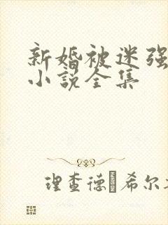 新婚被迷强系列小说全集