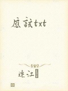 应该txt