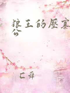 狼王的压寨小相公