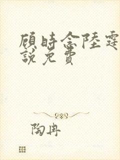 顾时念陆霆骁小说免费