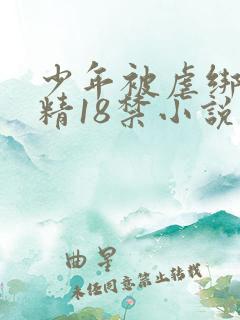 少年被虐绑着榨精18禁小说