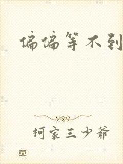 偏偏等不到小说