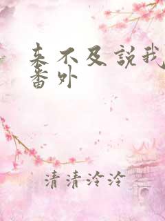 来不及说我爱你番外