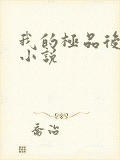 我的极品后宫 小说