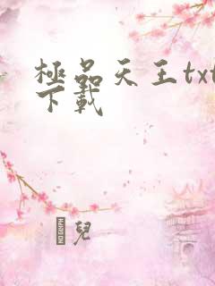极品天王txt下载