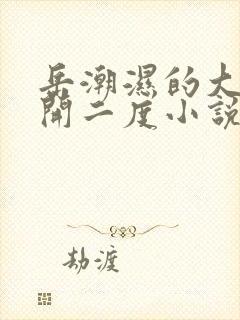 岳潮湿的大肥梅开二度小说