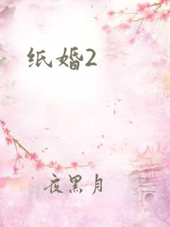 纸婚2