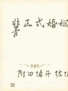 非正式婚姻雾里青