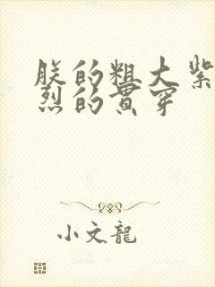 朕的粗大紫红猛烈的贯穿