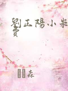 刘正阳小米多免费