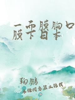 一面膜胸口一面膜下日本