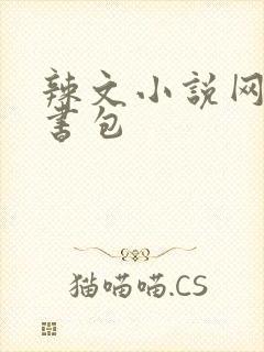 辣文小说网第二书包