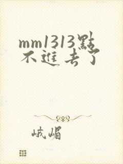 mm1313点不进去了