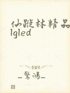 仙踪林精品zzlgled