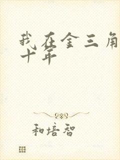 我在金三角卧底十年