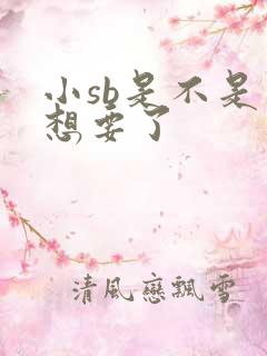 小sb是不是又想要了