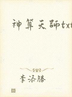 神算天师txt