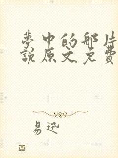 梦中的那片海小说原文免费阅读