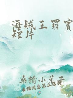 海贼王罗宾被h短片