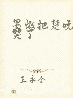 墨燃把楚晚宁C哭了