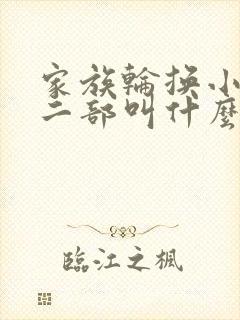 家族轮换小说第二部叫什么名字