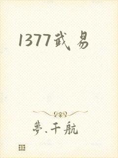 1377武易