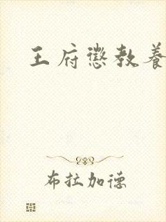 王府惩教养日常