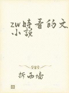 zw时看的文案小说