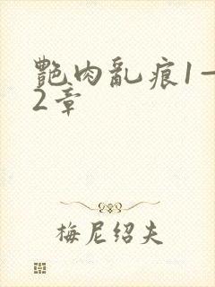 艳肉乱痕1—12章