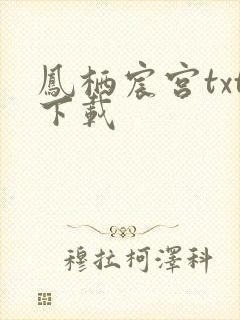 凤栖宸宫txt下载