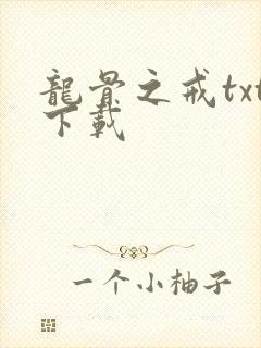 龙骨之戒txt下载