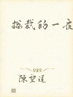 总裁的一夜情人