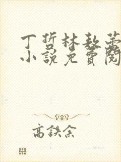 丁哲林敖蕾主角小说免费阅读笔趣