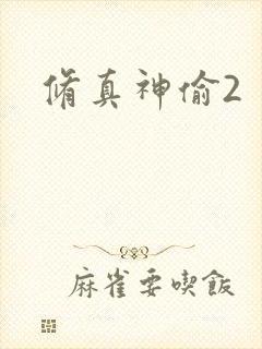 修真神偷2