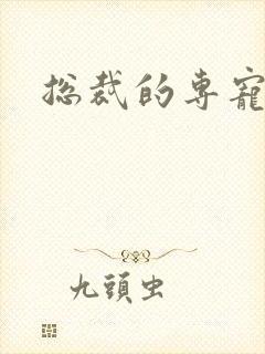 总裁的专宠床奴