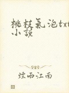 桃枝气泡txt小说