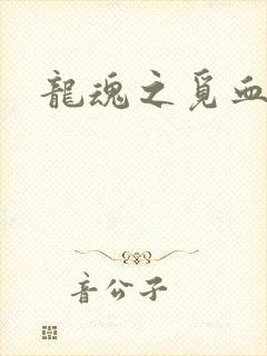 龙魂之觅血心缘