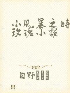 小风暴之时间的玫瑰小说