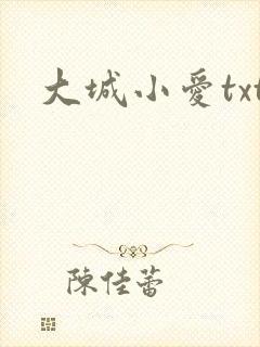 大城小爱txt