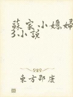 苏家小媳妇1V3小说