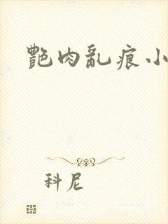 艳肉乱痕小说