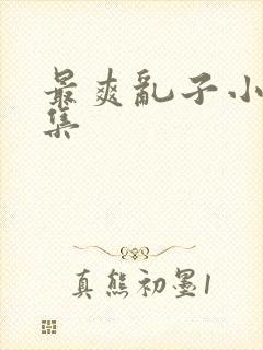 最爽乱子小说合集