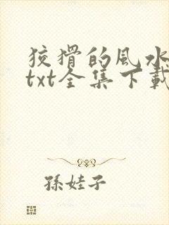 狡猾的风水相师txt全集下载