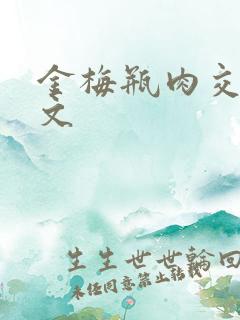 金梅瓶肉交白话文