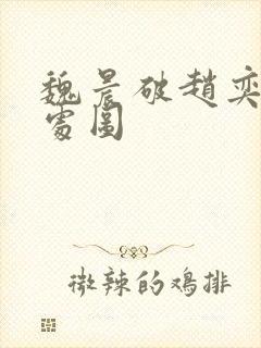 魏晨破赵奕欢的处图