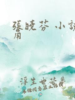 张晓芬 小说主角