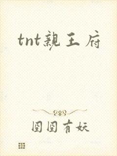 tnt亲王府