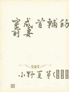 穿成首辅的炮灰前妻