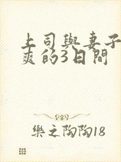 上司与妻子干到爽的3日间