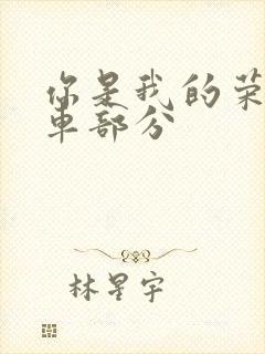 你是我的荣耀开车部分